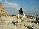 kif_0154.jpg