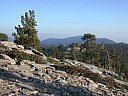 dscn7239.jpg