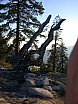 dscn7243.jpg