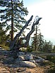 dscn7244.jpg