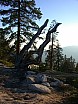 dscn7245.jpg