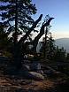 dscn7246.jpg