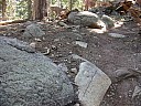 dscn7261.jpg