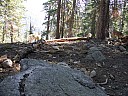 dscn7263.jpg