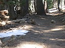 dscn7264.jpg