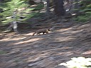 dscn7265.jpg
