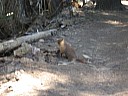 dscn7266.jpg