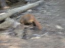dscn7267.jpg