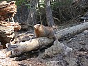 dscn7268.jpg