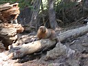 dscn7269.jpg