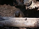 dscn7270.jpg