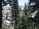 dscn7273.jpg