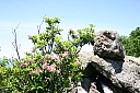 img_1642.jpg