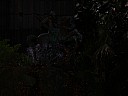dscn6896.jpg