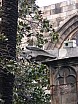 dscn6903.jpg