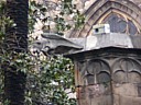 dscn6904.jpg