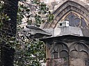 dscn6905.jpg