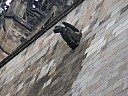 dscn6909.jpg