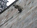 dscn6910.jpg