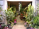 dscn6936.jpg