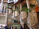 dscn6953.jpg