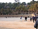dscn7028.jpg