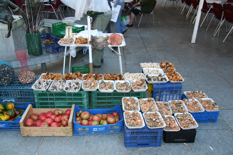 img_5507.jpg