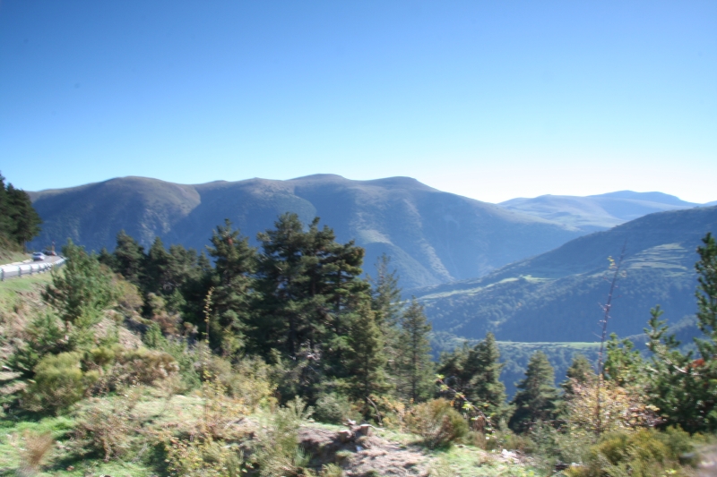 img_5530.jpg