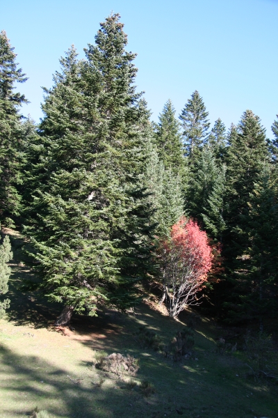 img_5535.jpg