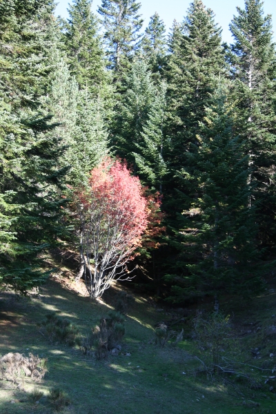 img_5536.jpg