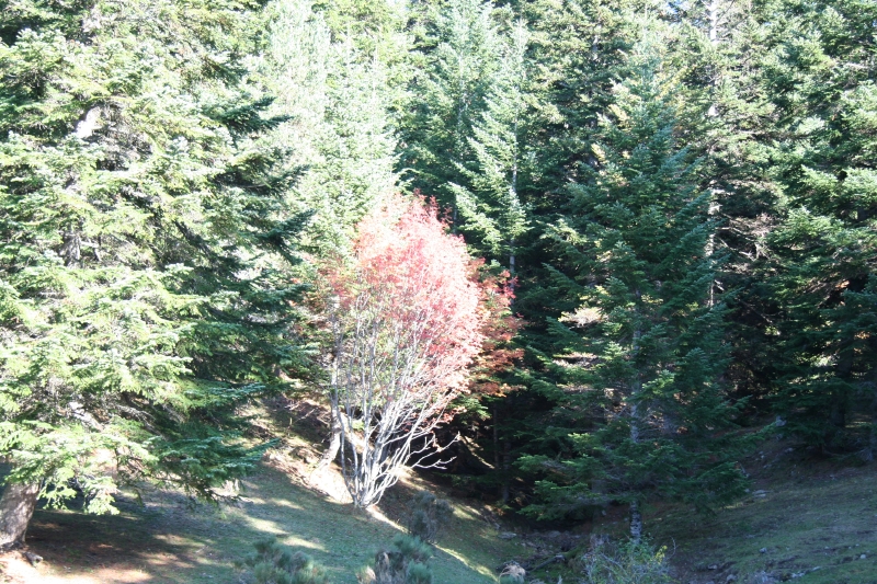 img_5538.jpg