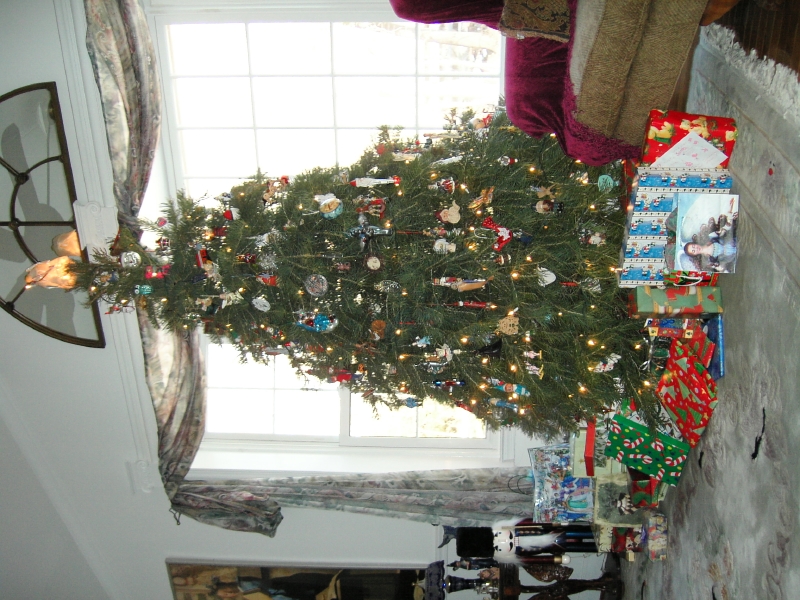 kif_0250.jpg