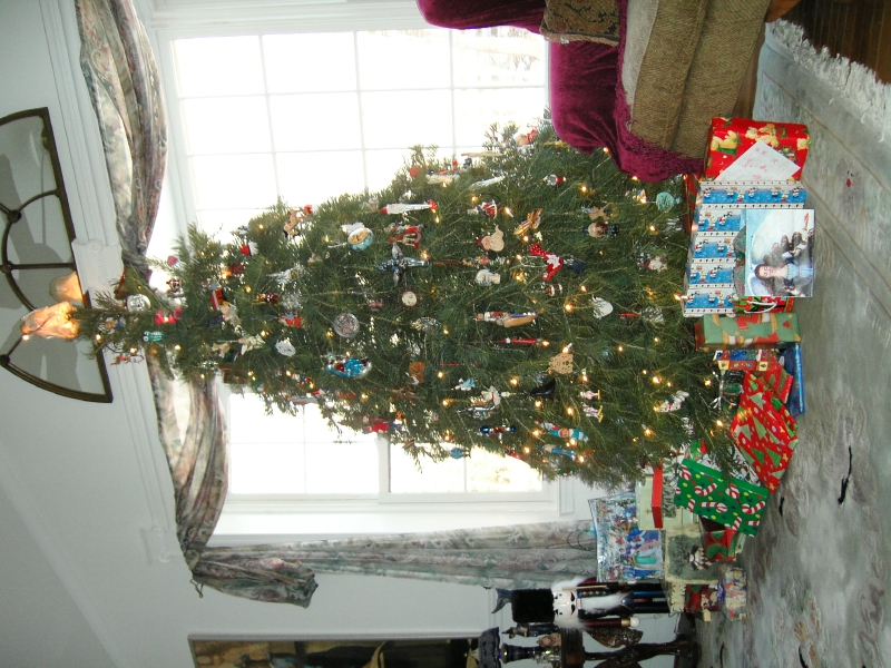 kif_0251.jpg