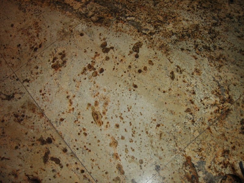 kif_0295.jpg