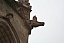 IMG_5789.JPG