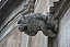IMG_5793.JPG