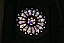IMG_5895.JPG