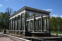 IMG_6595.JPG