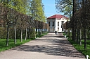 IMG_6596.JPG