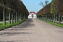 IMG_6597.JPG