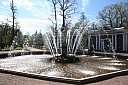 IMG_6604.JPG