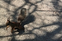 IMG_6605.JPG