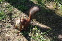 IMG_6606.JPG