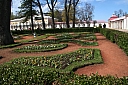 IMG_6613.JPG