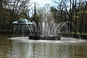 IMG_6618.JPG