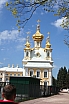 IMG_6637.JPG
