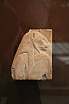 IMG_6665.JPG