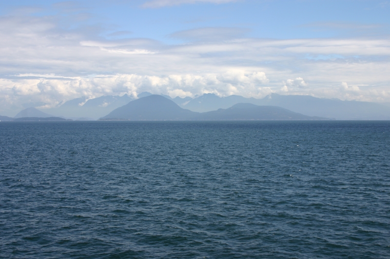 img_1832.jpg