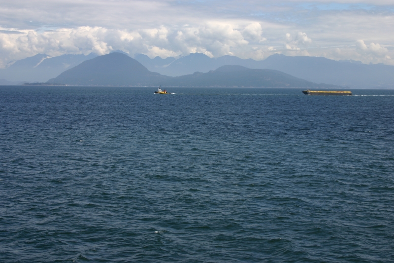 img_1834.jpg