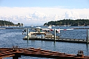 img_1817.jpg
